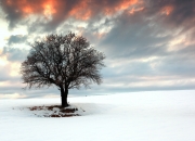 LOL赛事-稳定输出不掉线，斯通斯引领瑞典单节击溃哥斯达黎加