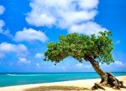 英雄联盟总决赛赛程-欧冠之夜，迪巴拉成为万达大都会唯一主角，马竞客场战术完胜曼联