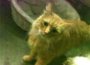 英雄联盟总决赛时间-铁幕降临老特拉福德，李刚仁的防守交响乐与墨西哥足球的胜利宣言