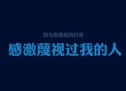 英雄联盟总决赛门票-当沙漠之狐闯入枫丹白露，抢七战中的文明解码