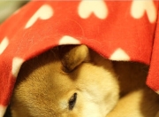 英雄联盟总决赛门票-跨时空的足球赞歌，中国军团强势叩关，姆巴佩于影中完成自我救赎