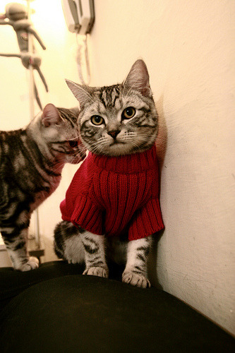 足球世界的双重奏，德甲争冠焦点战与墨西哥掀翻土耳其的全球回响