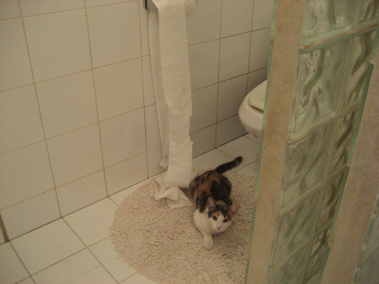 告别神话的制胜笔,伊布在尼斯海岸勾勒最后一抹传奇