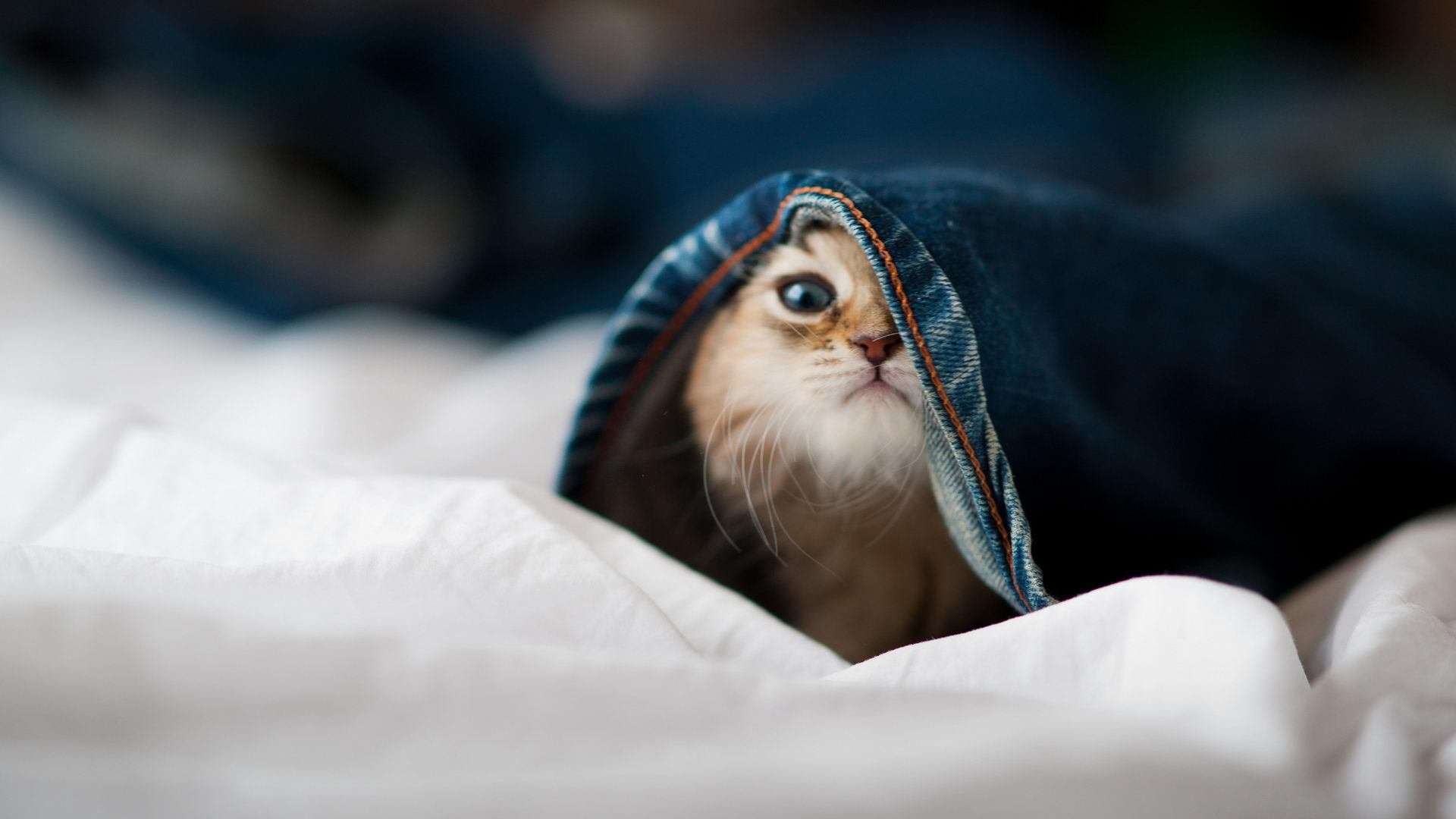 当银河战舰遭遇铁壁，本泽马唯一一剑，斩落顽敌加纳