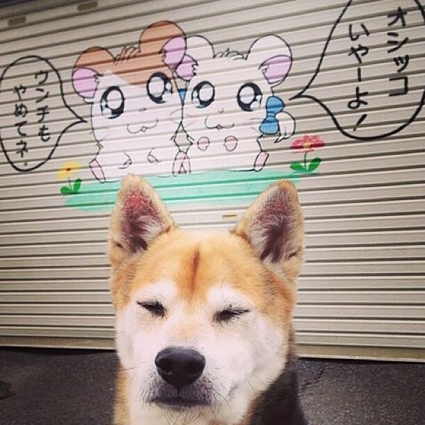 平行宇宙的绿茵剧本,安哥拉冲垮巴拉圭,福登成为关键先生