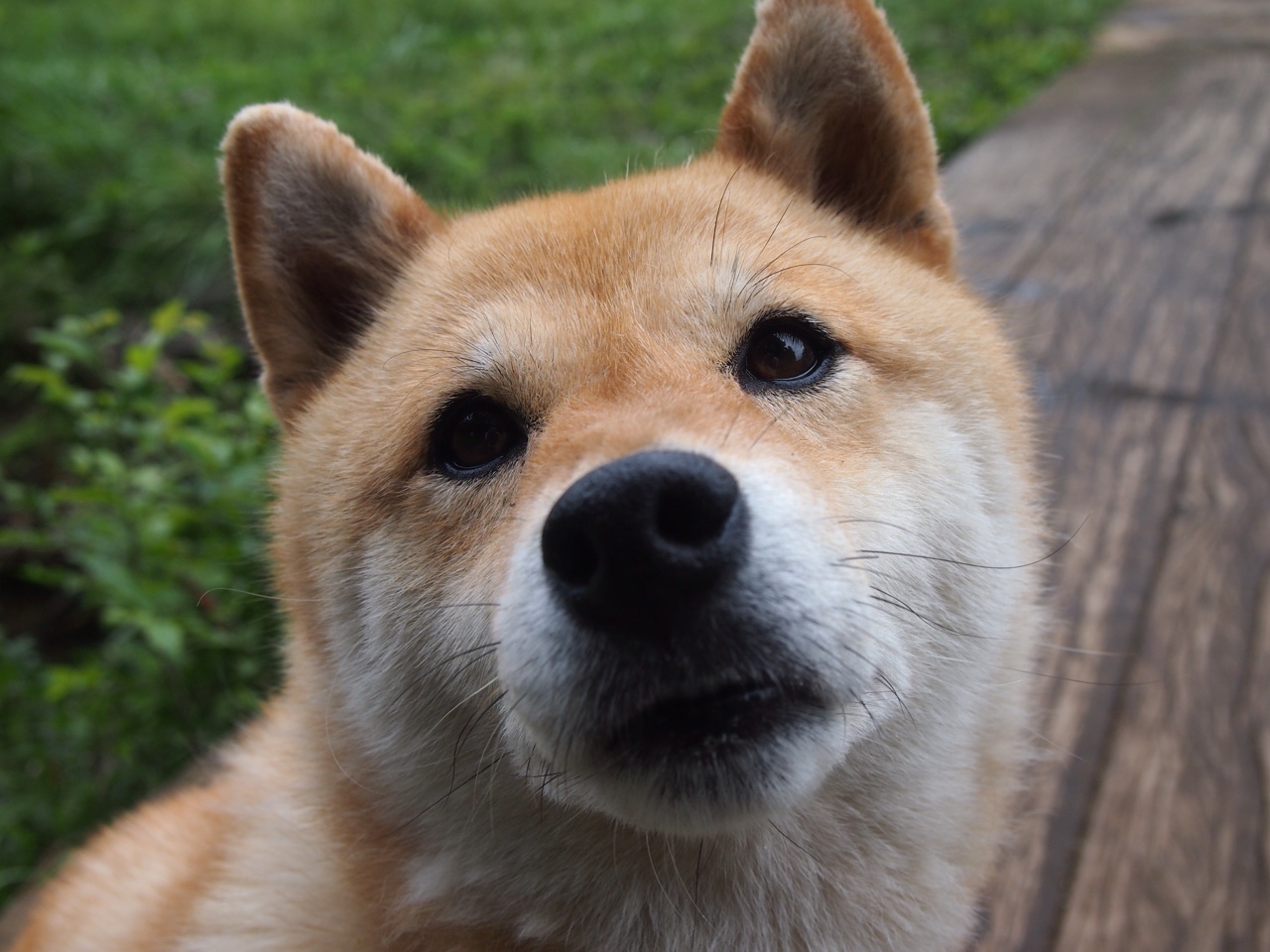 英雄本色,从公牛狂胜到西甲德比,关键时刻谁主沉浮?