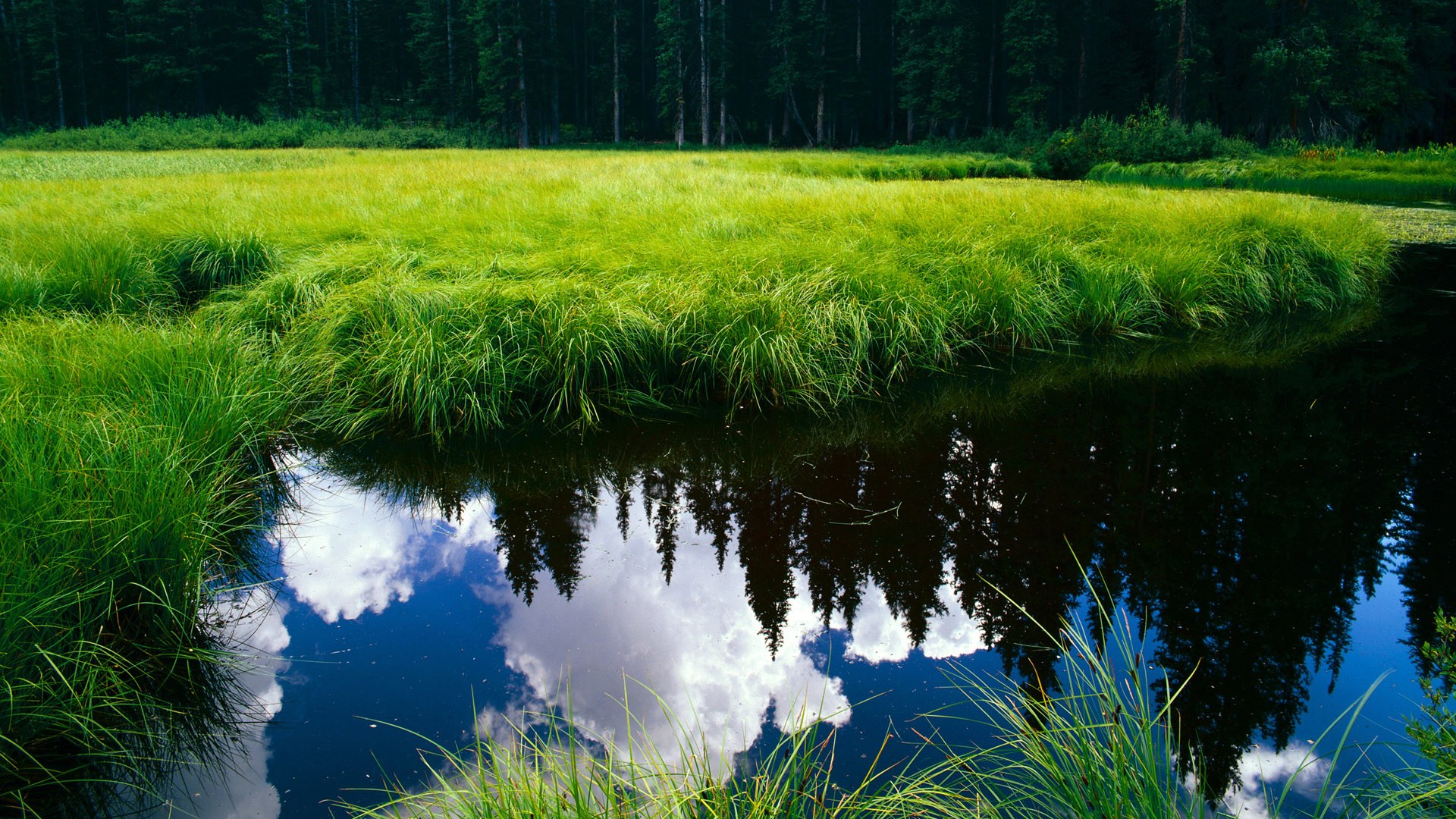 体育之神的两副面孔,一瞬的宿命与七十分钟的绝对意志