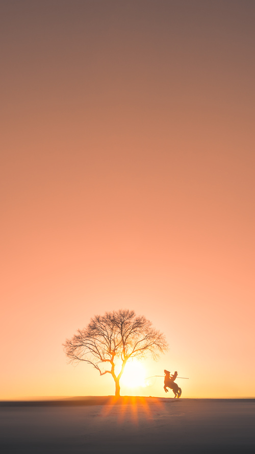 萨拉赫的关键一击，尤文图斯如何奇迹般击败法国队