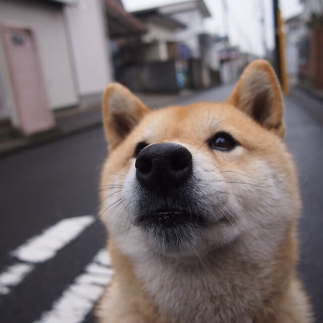 异时空战场,当新疆铁蹄撞上迈阿密烈焰,伦纳德用沉默掌控时间