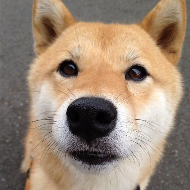 统治力与掌控感,一场属于特奥的双重奏,一场属于摩洛哥的冷静胜利