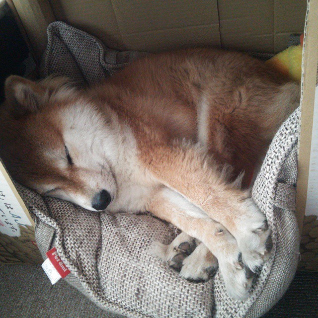 文明的冲突与绿茵的答案，当格纳布里爆发，埃及强行终结韩国