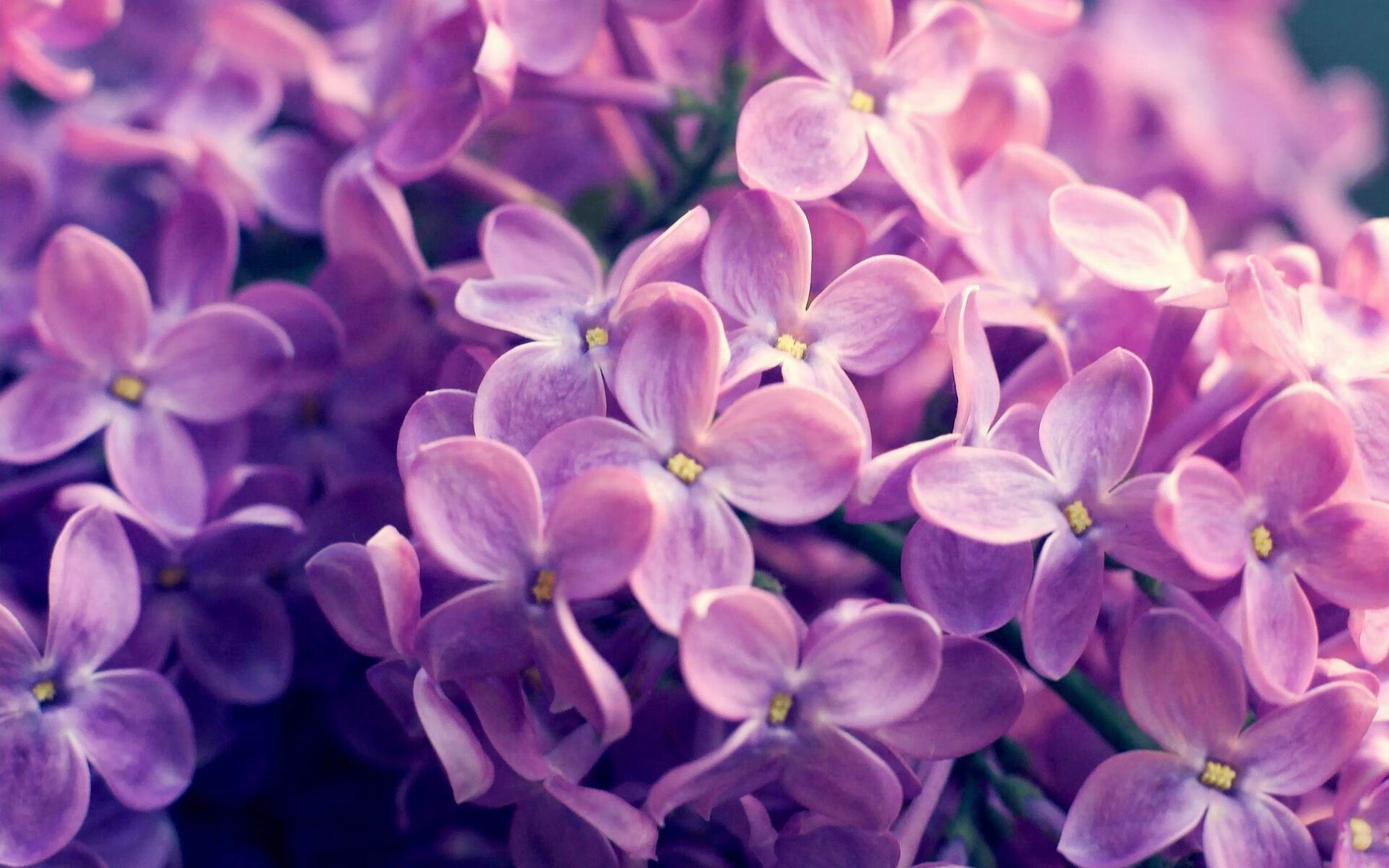 破壁者之夜，卡拉斯科的刻度与曼城的钢铁洪流