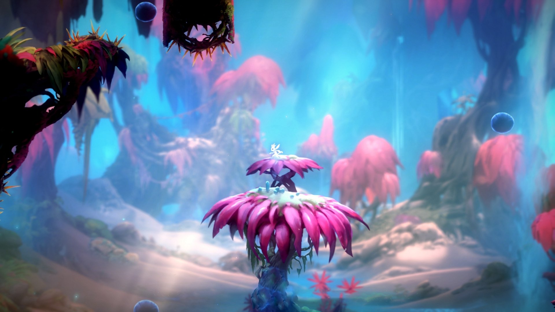 绿茵场上的篮球时刻,补时连入两球,北美新军上演神奇逆转