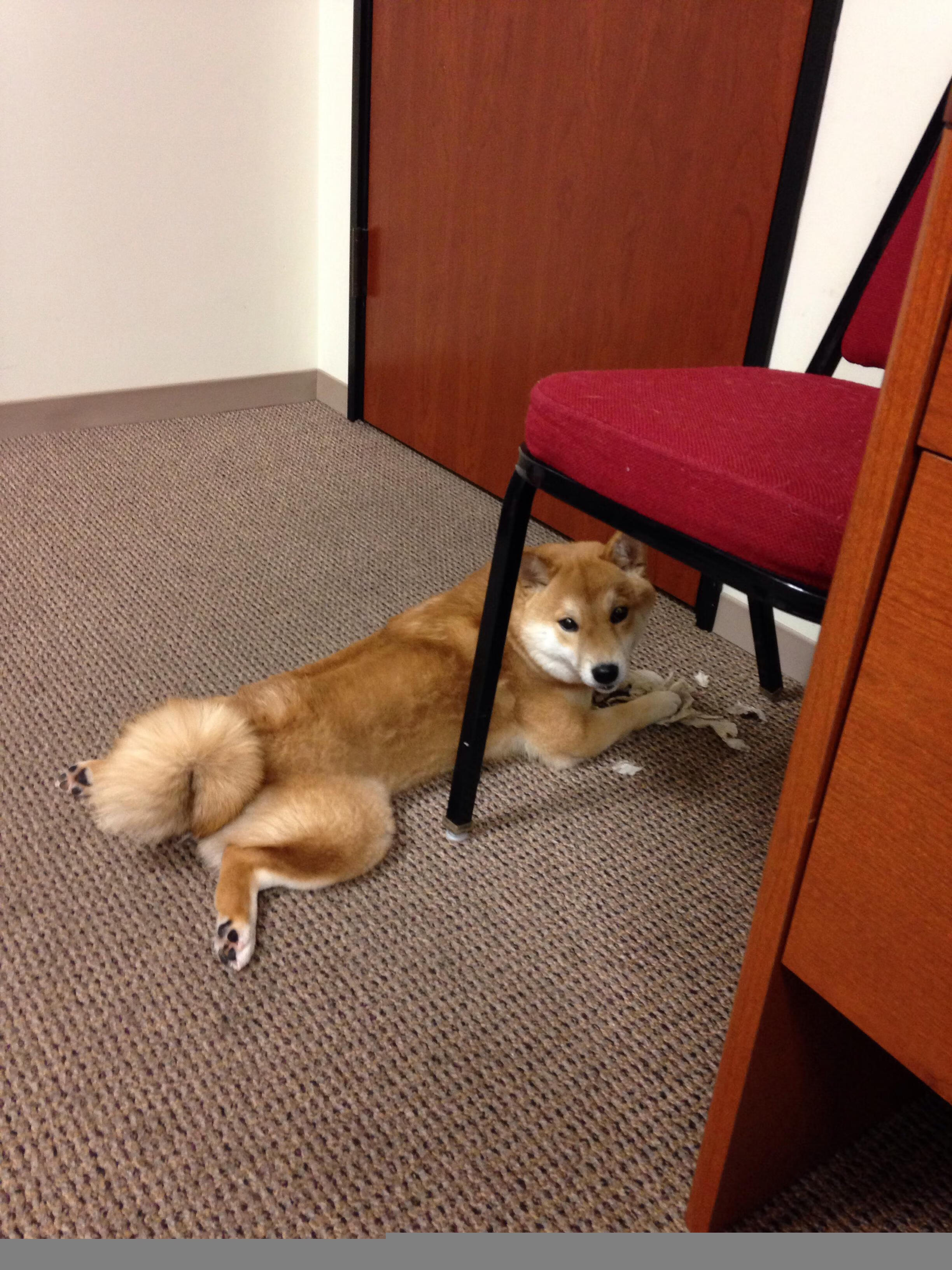 冰川与火山之间,当欧洲杯的密钥被冰岛人用一声维京战吼揭开,穆勒如何用一记岩浆喷射成为关键先生