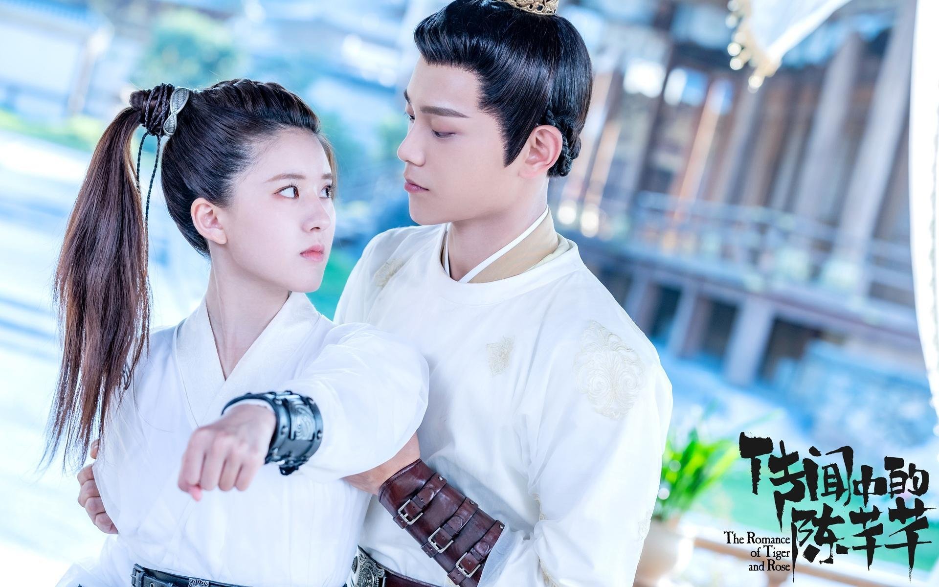 齿轮转动之夜—2026世界杯如何被一个后腰重新定义