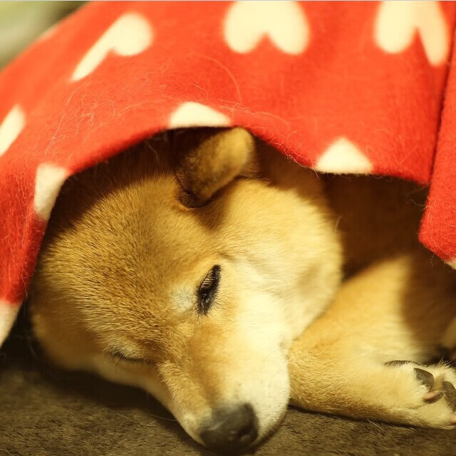 跨时空的足球赞歌，中国军团强势叩关，姆巴佩于影中完成自我救赎