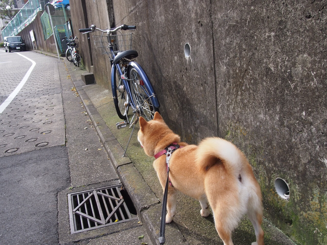 一场不存在于任何数据库的比赛