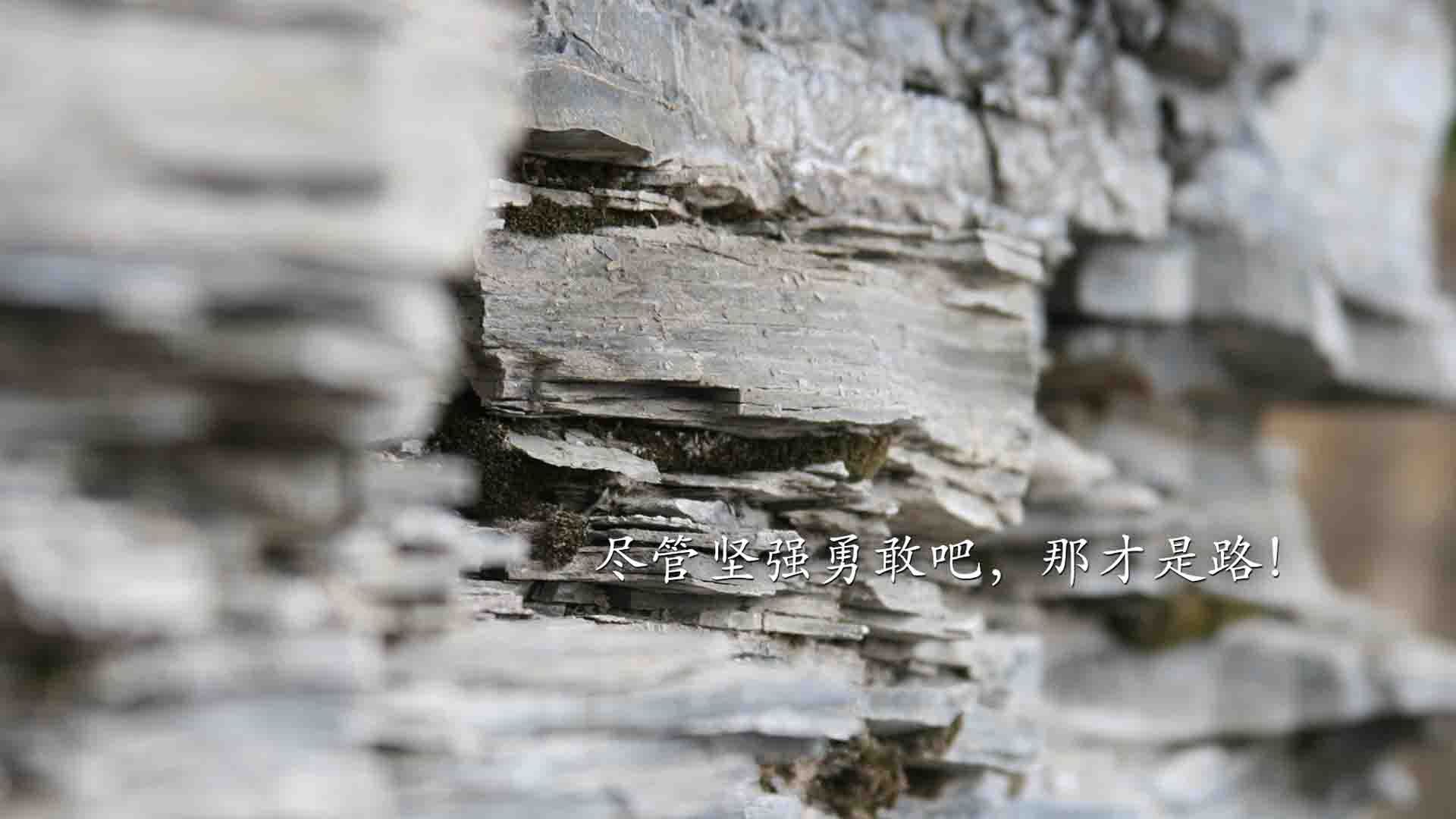 唯一的中场大师,莫德里奇闪耀2026世界杯,比利时大胜丹麦背后的控制哲学